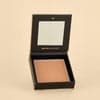 Matte bronzer 1st scene